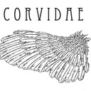 blog logo of Corvidae