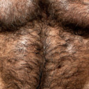 blog logo of Hairy Daddy/Bears