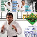 blog logo of Premier Martial Arts