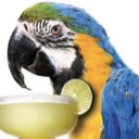 blog logo of Parrothead