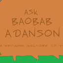 Ask-Baobab Adanson