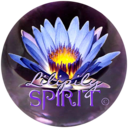 blog logo of Lilipily Spirit