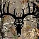 Breeder Buck