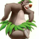 baloo the bear