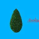 blog logo of Avokadotus