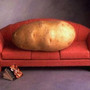 blog logo of Couch Potato-anon