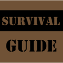 21st Century Survival Guide