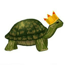 Turtle king