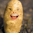 Silly Potato