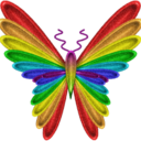 queer-butterfly