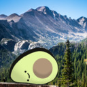 blog logo of thecoloradoavocado