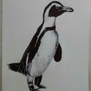 blog logo of Penguinnn