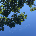 blog logo of “Holy” Loved by Him