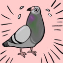  Pigeon Comics