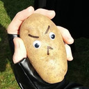 blog logo of EXCEPTIONAL POTATO