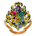 blog logo of The Hogwarts Network