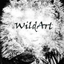 WildArt Studio