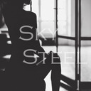 blog logo of SkySteel