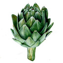 blog logo of Artsy Artichoke