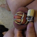 Chastity Pig's Sty