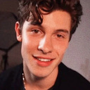 blog logo of That Shawn Mendes Dude?