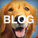 Blog Dogz