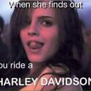 harleyguyposts