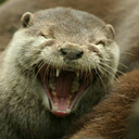 blog logo of Otter Cuddles