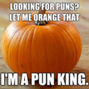 Daily Puns!