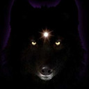 blog logo of dark wolf