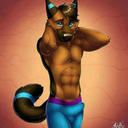 gay furry lover