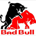 Bad Bull