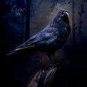 blog logo of 8crow4