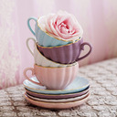 blog logo of tiny teacups and great adventures