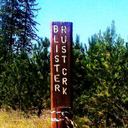 blog logo of Blister Rust Creek