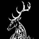 The White Stag