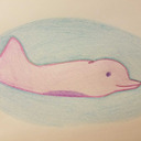 blog logo of bisexual dolphin