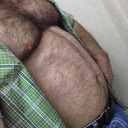  older bears and mature men