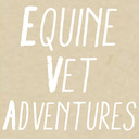 equinevetadventures