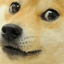 blog logo of A suprising lack of Doge content | wow-very-doge