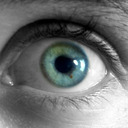 blog logo of Blue Eye