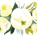 blog logo of peony & sage.