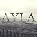 blog logo of aylamusic tumblr