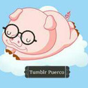 blog logo of Tumblr Puerco