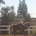 Wind in my Mane