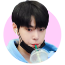 blog logo of bunny doyoung