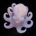 blog logo of ilovecephalopods