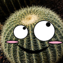 The Prickly Enthusiast