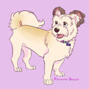 blog logo of Sasha the Mutt(Not Westie!)