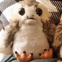 This User Supports Porgs